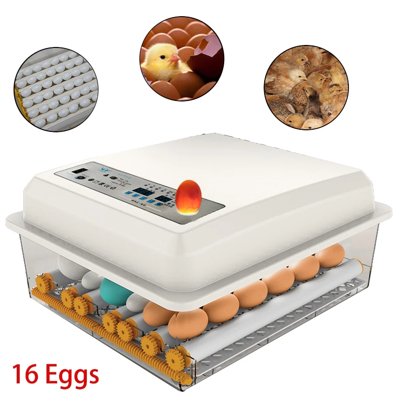 

Eggs Incubator Brooder Bird Quail Chick Goose Egg Hatchery Incubator Poultry Hatcher Automatic Farm Incubation Tools With Roller