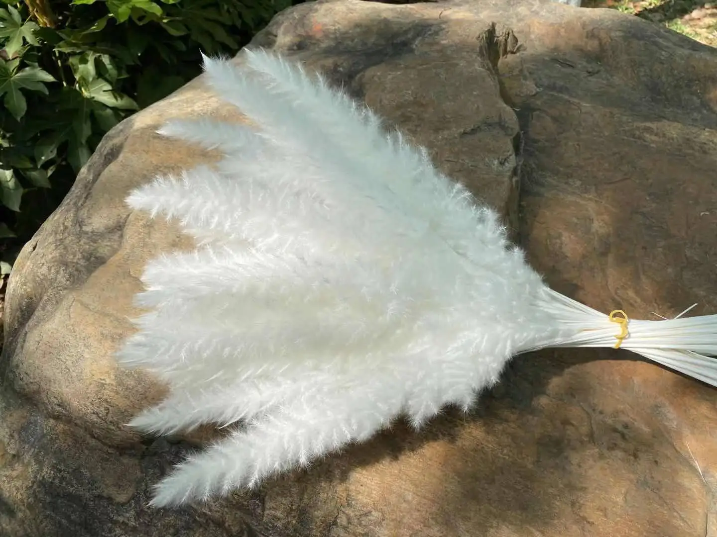 15Pcs Dried Reed Flower Arrangement Natural Pampas Grass For  Modern Home Decoration Party Backdrops Wedding Supplies