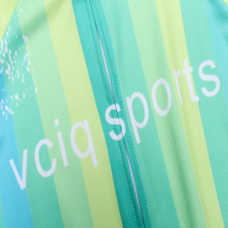 Осень, VCIQ Team Ropa, одежда для велоспорта, мужская, с длинным рукавом, Джерси, костюм, для улицы, для езды на велосипеде, MTB, одежда, комбинезон, комплект