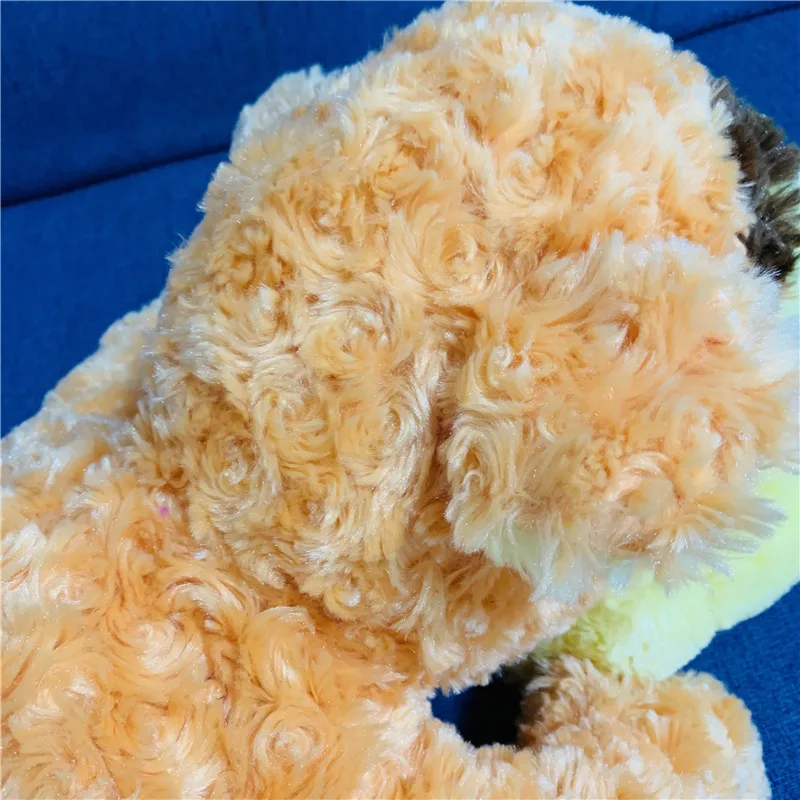 IMG_2441(20201028-162021)