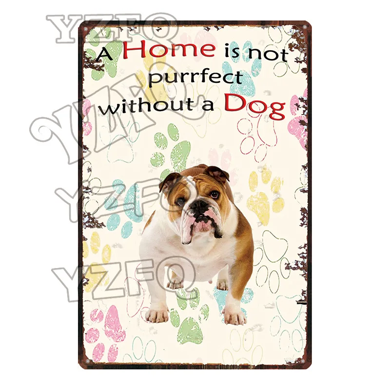 Warning Beware Attack Cat Watch Dog on Duty Pet Metal Plate Wall Pub Restaurant Home Art Decor Iron Poster Cuadros DC-5483A - Цвет: DC-5501