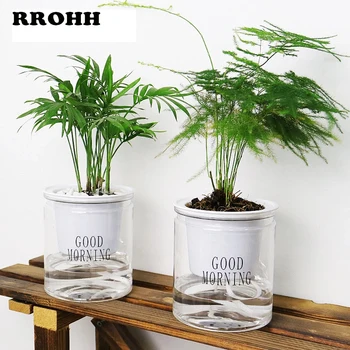 

PP+PET material Creative Simple Transparent Flower Pot Round Plastic Automatic Water-absorbing Hydroponic Pot Succulent PlantPot