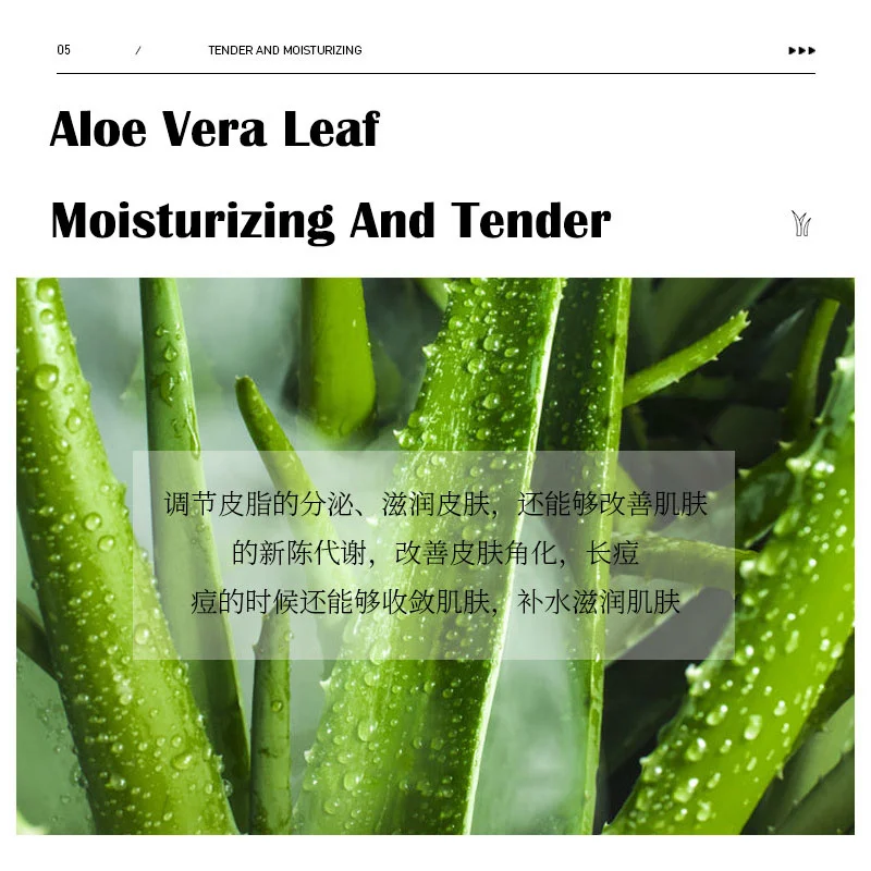 Máscara de sono hidratante Aloe Vera, Multi