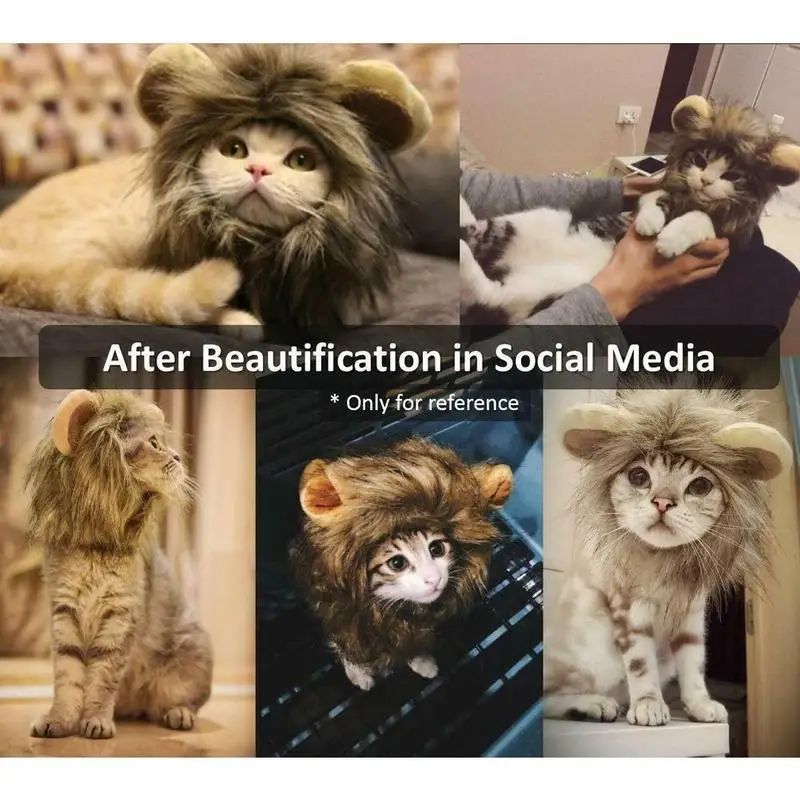 Cute Pet Costume Cosplay Lion Mane Wig Cap Hat for Cat Halloween Xmas Clothes Fancy Dress with Ears Pet Cat Accessories