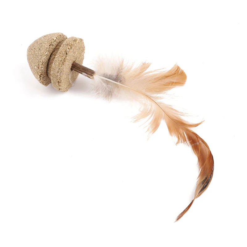 Cat Feather Toy Natural Catnip Treat Ball Favor Chasing Pet Toys Healthy100% Safe Edible Treating Cats Play molar mouse Toy 1