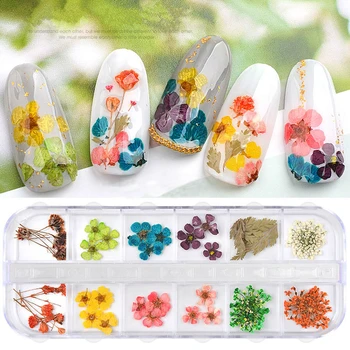 

12 Color Dried Nail Flowers Gypsophila Sun Flower Nail Art Decorations 24 Natural Dry Flower Mix Jewelry Floral Manicure Tools