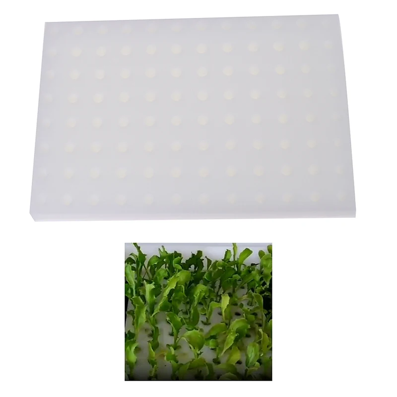 White Seedling Sponge Soilless Hydroponic Vegetables Nursery Pots Seedlings Cloning Collar Garden Cultivation Plant | Дом и сад
