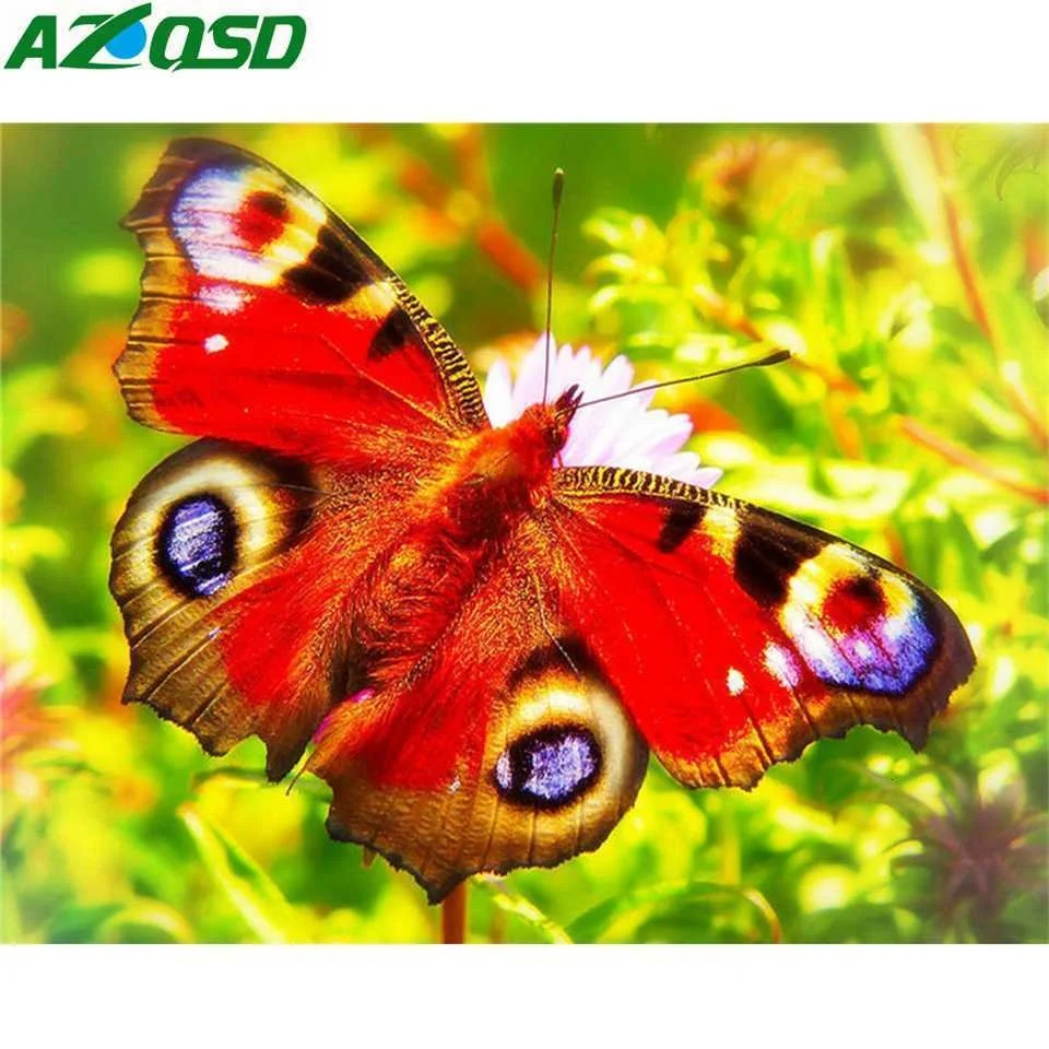 BB2-501 (2).png