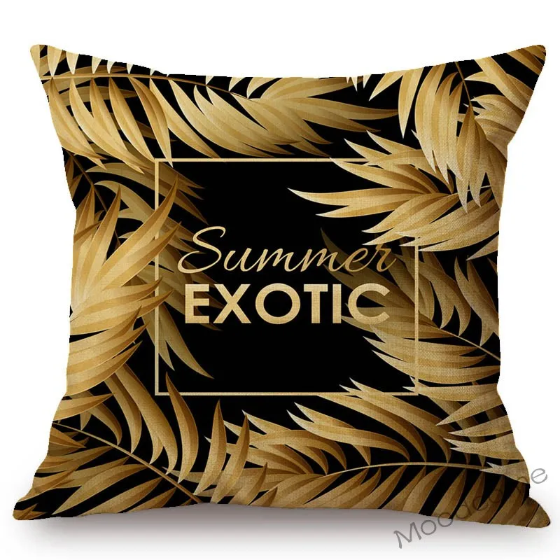 conew_n344 (1) 副本