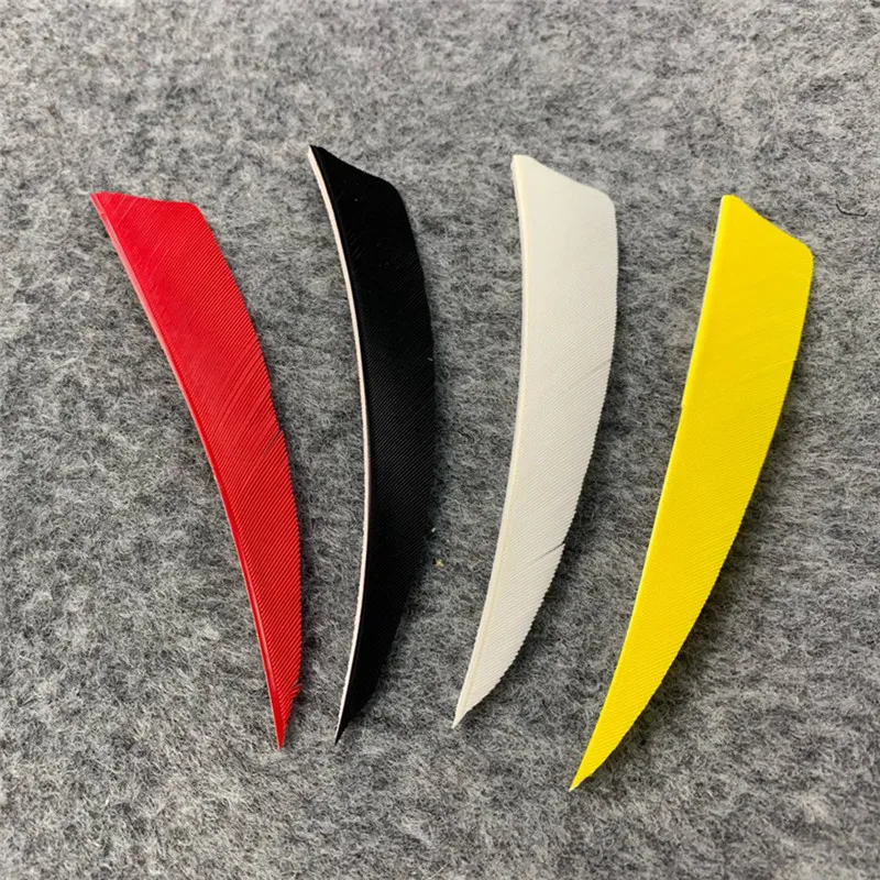 303557_no-logo_303557-3-11-g