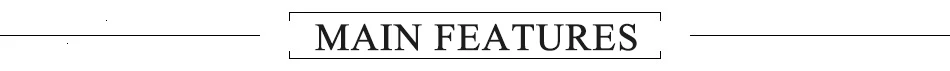 main feature