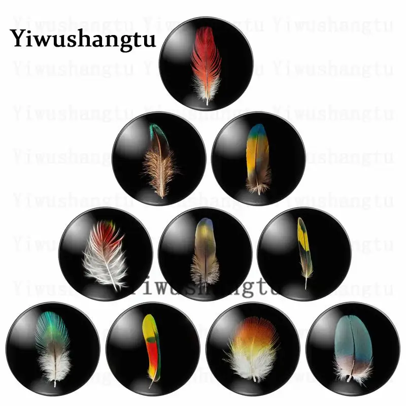 

Colourful animal feathers painting 12mm/20mm/25mm/30mm Round photo glass cabochon demo flat back Making findings