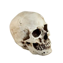 1:1 Смола череп голова коллекционные вещи череп голова Фигурка Статуя Хэллоуин череп голова подарок вечерние украшения