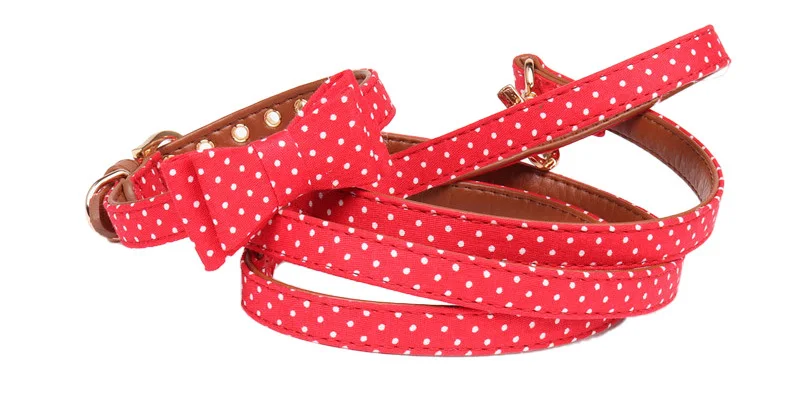 dog leash