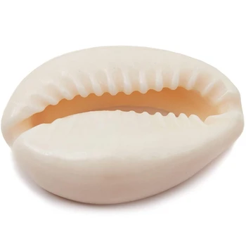 

Cowrie Sea Shells Oval Sea Shells Beach Seashells for Jewelry Making, DIY Crafts Jewelry Making Accessories (150 Count)
