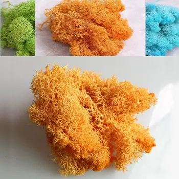 Natural Mini Preserved Artificial Flower Micro Landscape Eternal Plant Moss Wall DIY Fake Flowers Dried Grass Garden Supplies