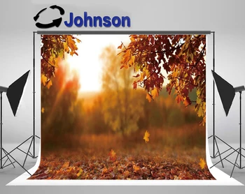 

Discount Autumn Fallen Leaves Maples Light Bokeh Sunshine Baby Newborn backdrop High quality Computer print scenic background