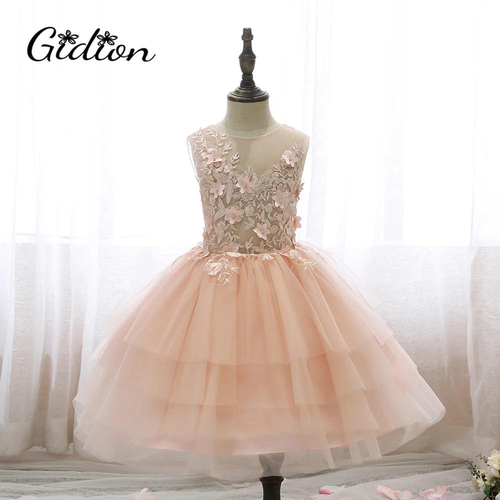 

Children Embroidered Dress Princess Pettiskirt Flower Girl Dresses Tulle Lace Sleeveless Little Bridesmaid Wedding Party Dress