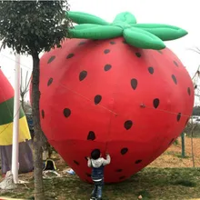 2 м 3 м 4 м 5 м реклама надувные плоды клубники Фестиваль пользовательские модели горячие животные и природа взрослые плюшевые