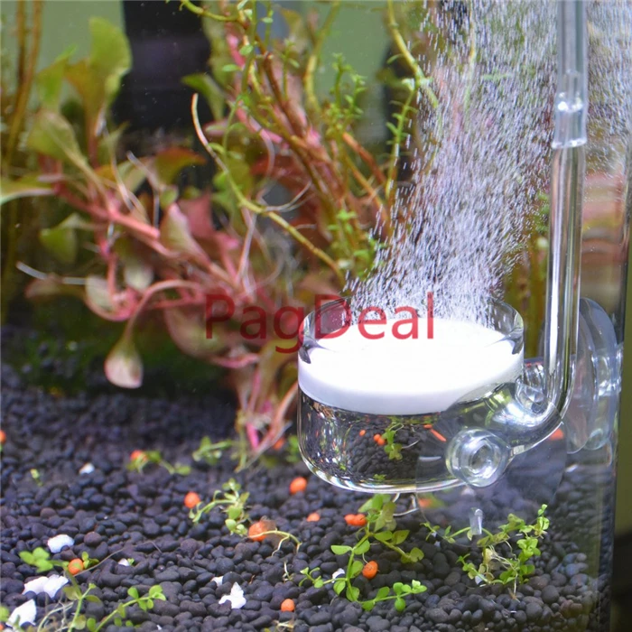 Glass CO2 Diffuser3
