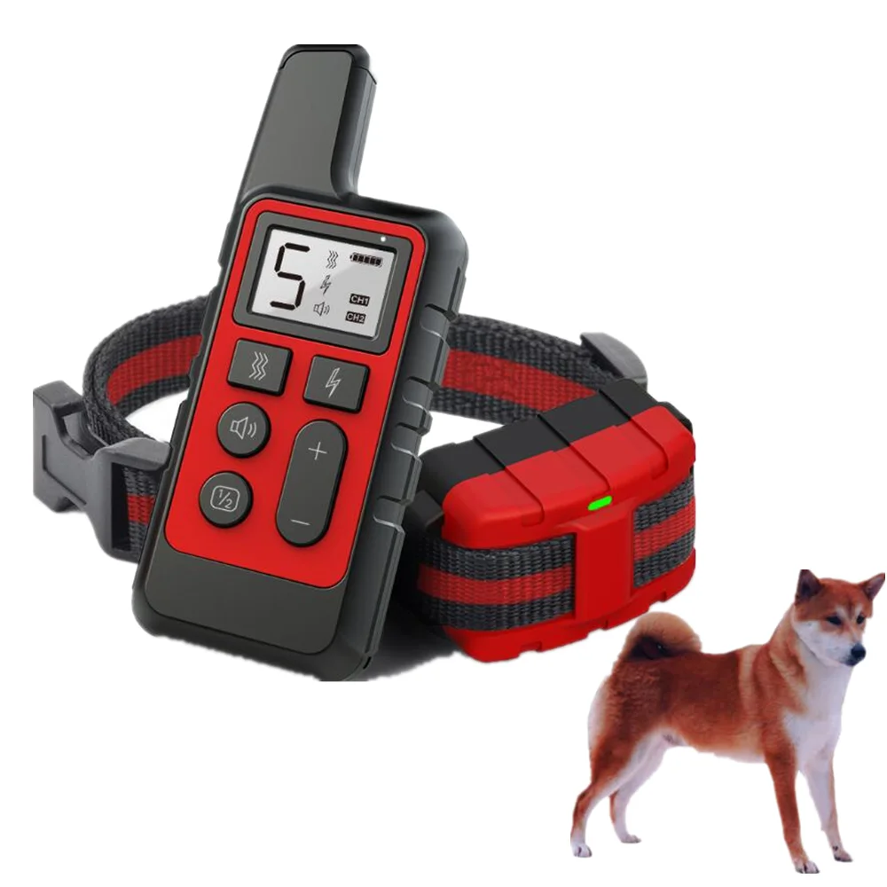 small dog training collars