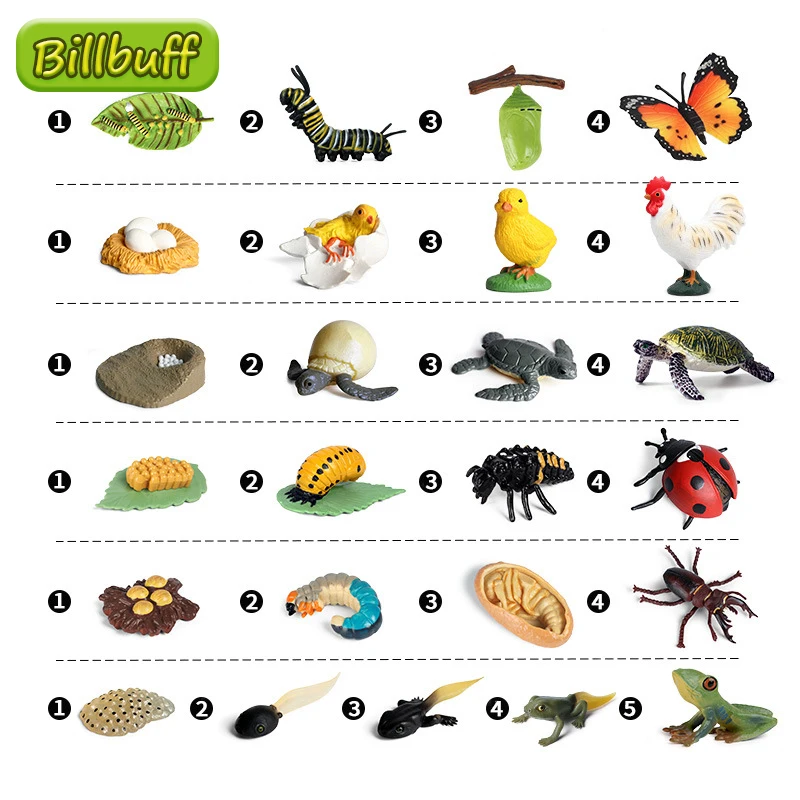 Figuras de acción para el crecimiento de la mariposa, mariquita y abeja, Spider, simulación de modelos de animales, Material de enseñanza para chico