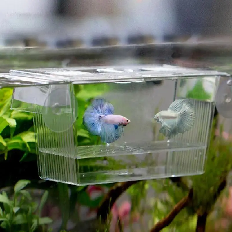 Прозрачный аквариум разведение изоляции коробка инкубатор для аквариума инкубационные ящики Многофункциональный акриловый аквариум держатель