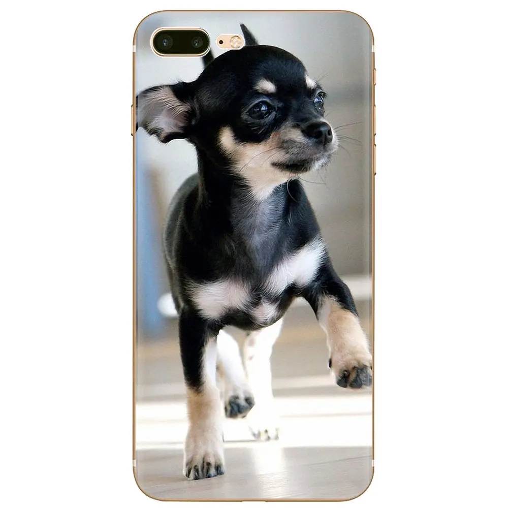 For Xiaomi Redmi 4A S2 Note 3 3S 4 4X 5 Plus 6 7 6A Pro Pocophone F1 Chihuahua dog Bulldog Schnauzer puppy Silicone Case Housing | Мобильные
