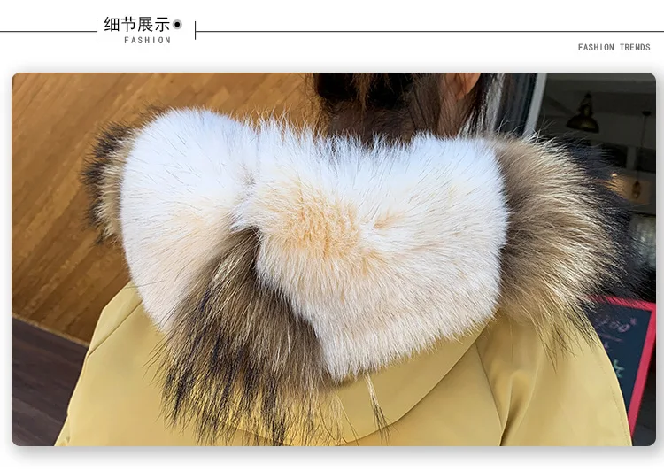 Photo Shoot Autumn And Winter Down Jacket Women's Korean-style Large Fur Collar Loose-Fit Students Cotton-padded Clothes Fa