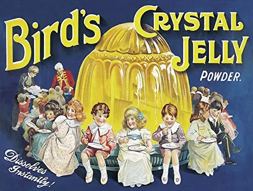 

Birds Crystal Jelly Metal Tin Sign Retor Wall Decor Tin Sign 8x12 Inch