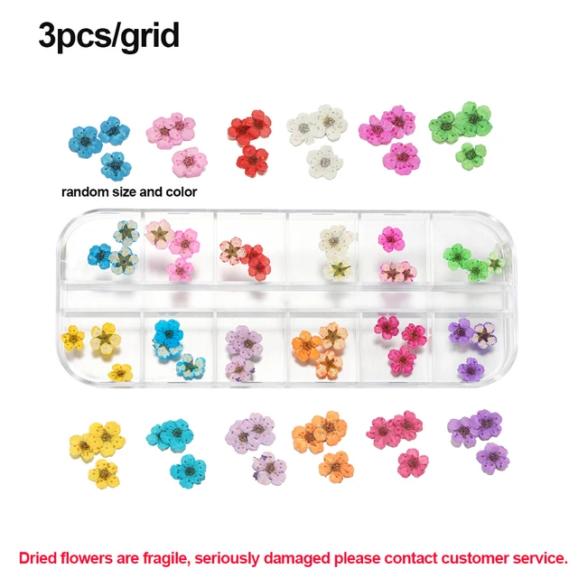 1Box Dried Flowers Dry Plants for Rsein Molds Fillings Epoxy Resin Pendant Tweezers Jewelry Making Craft DIY Nail Art Decoration Style28