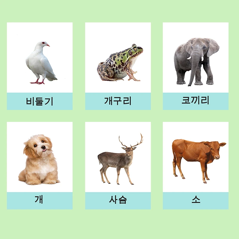 30pcs/set Korean Animal Flashcard Word Card Montessori Learning Educational  Toy For Kids Korea Children Pocket Cards Baby Gifts - Card Books -  AliExpress
