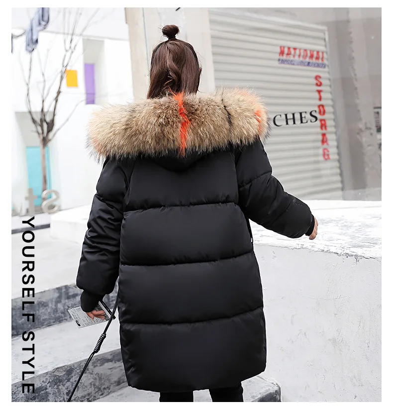 9031808586_828878606