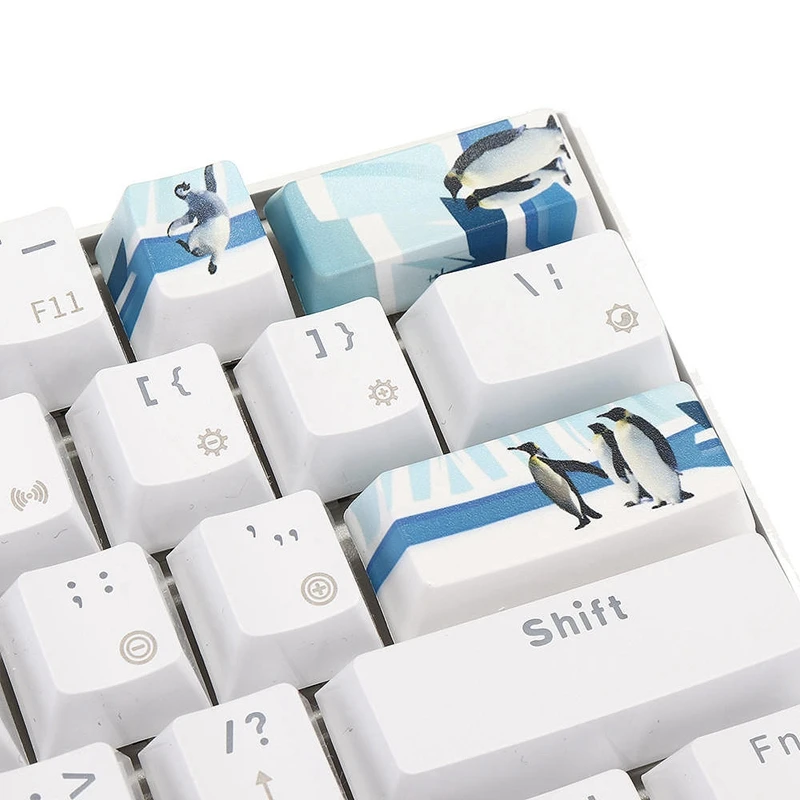 Five-Sided Dye PBT Mechanical Keyboard DIY Keycap(Space+ ESC+ Input+ Numeric Keyboard Input