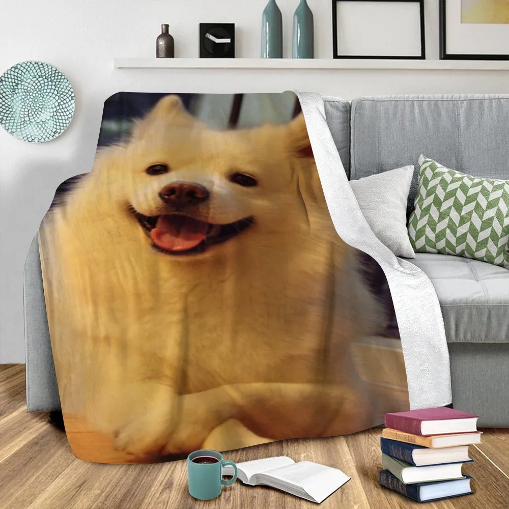 

Funny Dog 3D Printed Plush Fleece Blanket Adult Home Office Washable Casual Kids Sherpa Blanket Drop Shipping 01