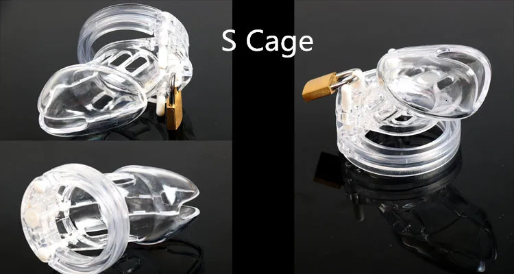 2932601900_1155145676