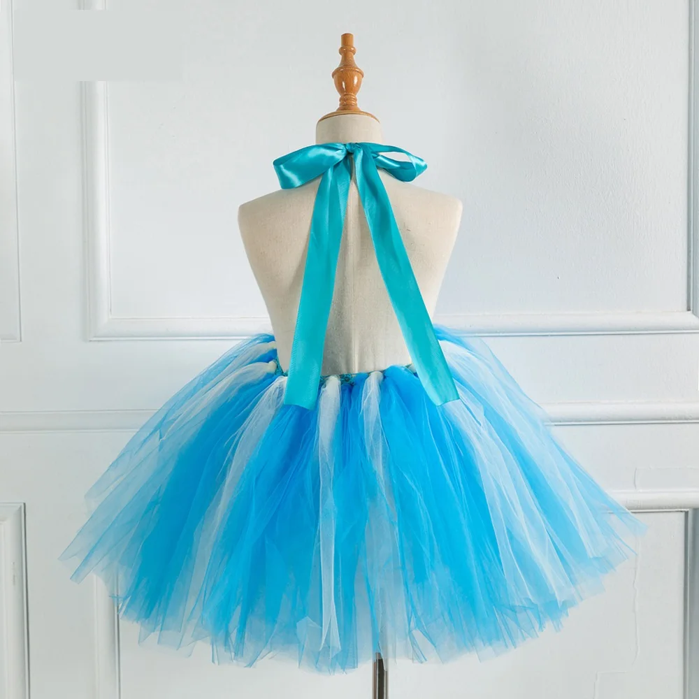 11355234807_2071438466