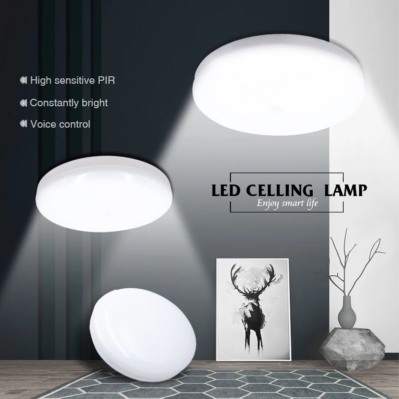 2pcs/lot LED Ceiling Light 12w 24w PIR Motion Sensor Lamp Surface Mounted Auto Smart Sounds Control 110V 220V Round Panel Light