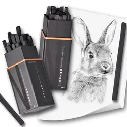 20 pièces/ensemble tiges en carbone pour croquis, nouvelles fournitures d'art de peinture, en coton, saule, de 3 à 9mm 