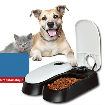 

Double Bowl Pet Feeder Automatic Timing Food Distribution Easy Removal Stability 95AA