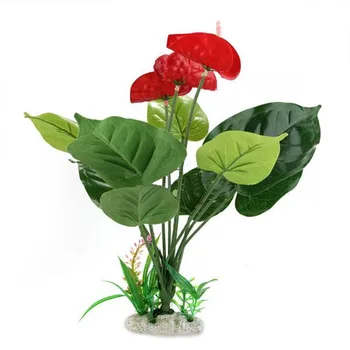 

Anthurium Bush Rare Flower Anthurium Bonsai Balcony Potted Plant Bonsai Red Anthurium Flowers Bouquet Wedding Home Garden Decor