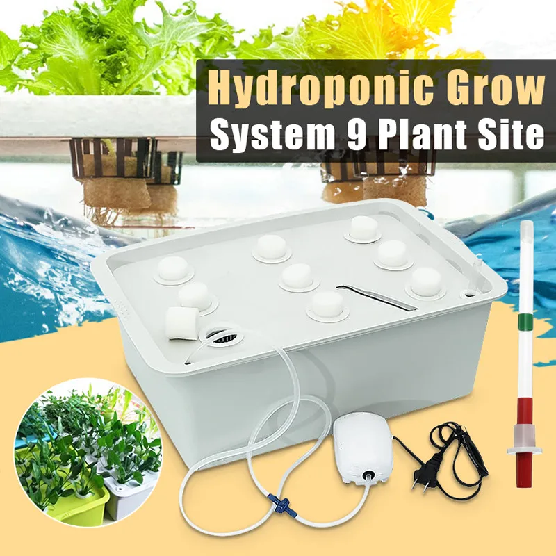 6 Plant Sites Deep Water Culture Air Pump Hydroponic System Plant Growing System 