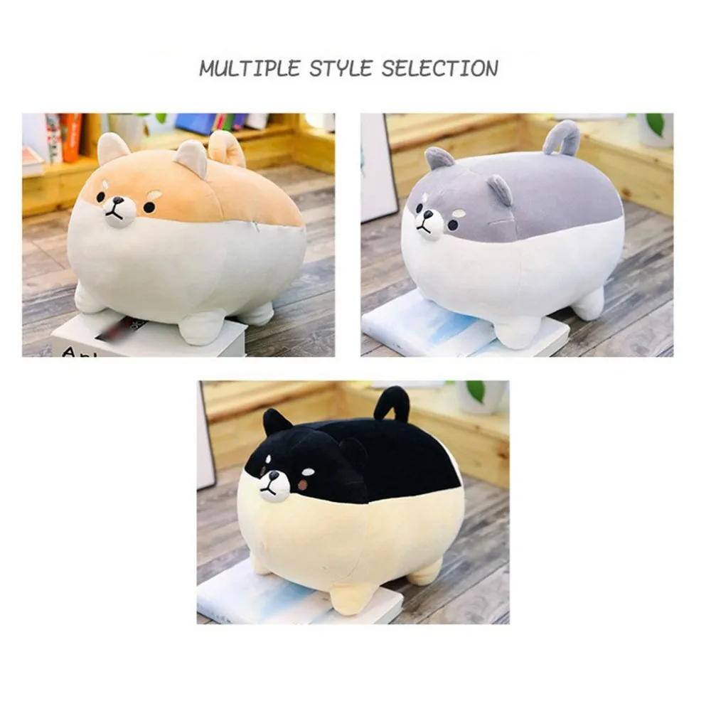 PF184601-C-20062806-1