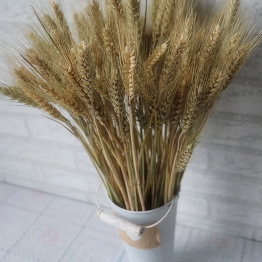Wheat Bouquet Wedding Party Decoration DIY Craft Scrapbook Home Garden Natural Dried Flower Ears 100pcs Autumn Decor | Дом и сад