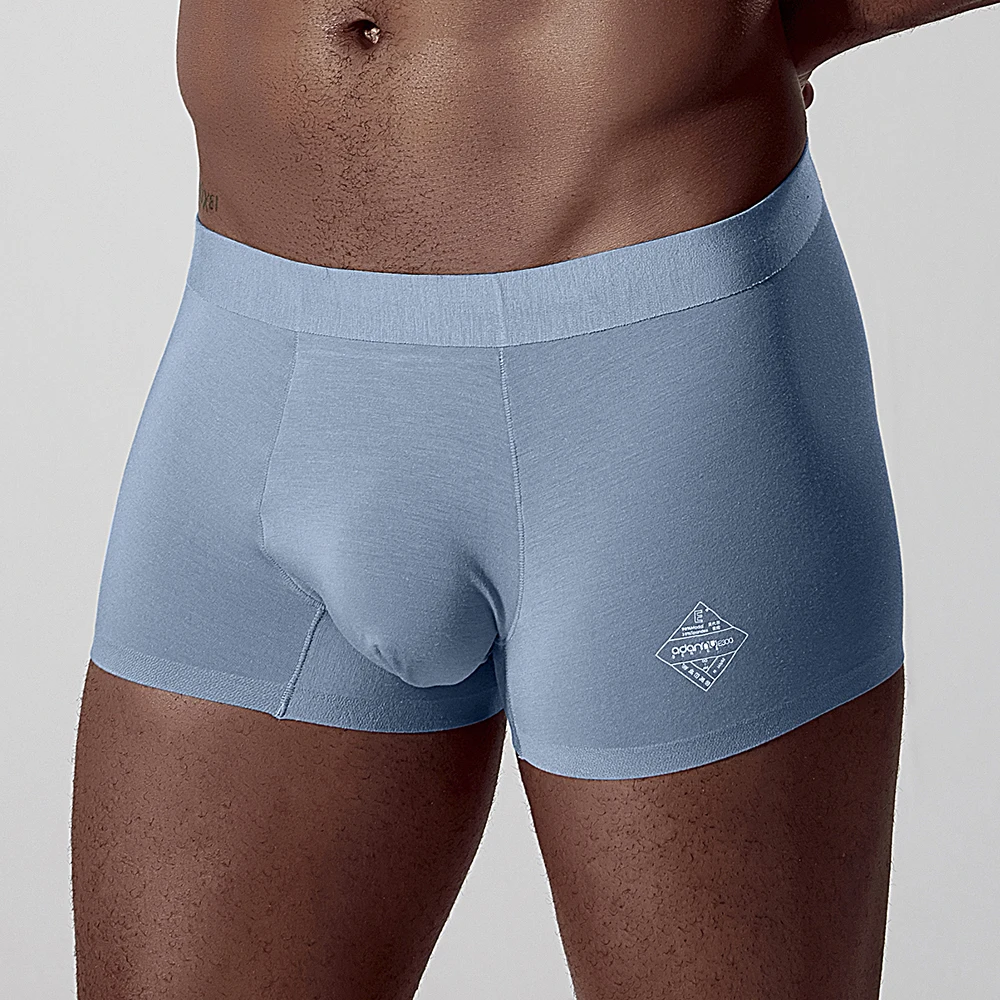 Men Boxer Underwear Man Boxers Modal Male Panties Breathable Boxershorts Men's Underpants Soft Ropa Interior Gay Cueca AD308 - Color: Blue
