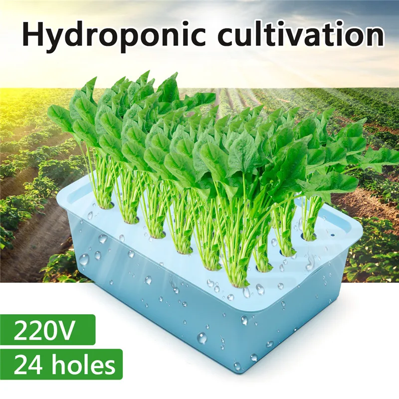 220V 24 Holes Hydroponic System Kit Indoor Aerobic Soilless Cultivation Water Planting Grow Box photo