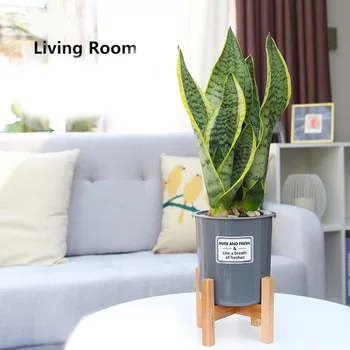 

Plant Stand Indoor Wood Flower Pot Holder Wooden Display Potted Rack Modern Home Living Room Decor AC889