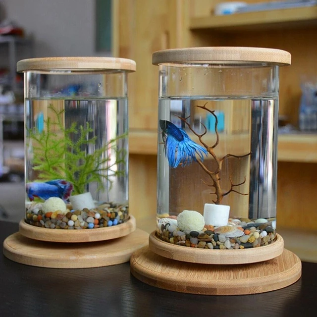 1pcs Mini Glass Fish Tank Bamboo Base Fish Tank Decoration Rotate Decoration  Fish Bowl Ecological Bottle Aquarium Accessories - Aquariums - AliExpress