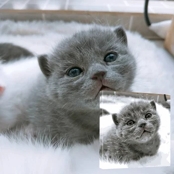 

40 X 50cm Paint By Numbers Kits DIY Art Decor Hand Painted With Frame For Wall Decoration Home Living Room Decor-Customized Type