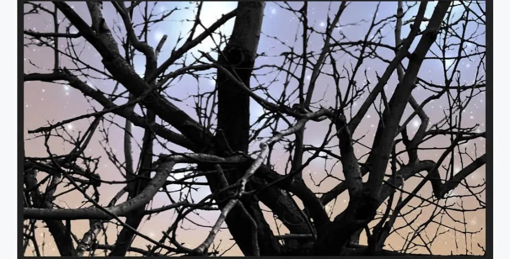 360截图20200310211725520